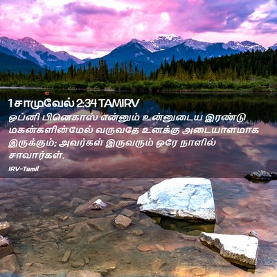 Picture 02 - 1 சாமுவேல் 2:34 TAMIRV - ஒப்னி பினெகாஸ் - Bible Verse Picture