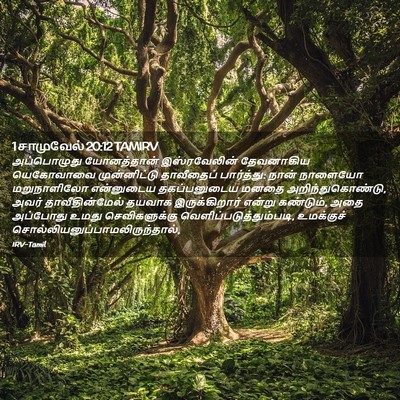 Picture 02 - 1 சாமுவேல் 20:12 TAMIRV - அப்பொழுது - Bible Verse Picture