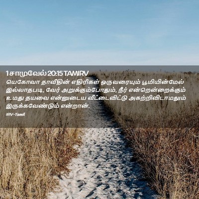 Picture 02 - 1 சாமுவேல் 20:15 TAMIRV - யெகோவா தாவீதின் - Bible Verse Picture
