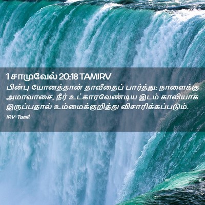 Picture 02 - 1 சாமுவேல் 20:18 TAMIRV - பின்பு யோனத்தான் - Bible Verse Picture