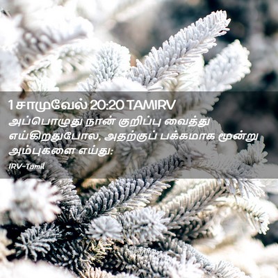 Picture 02 - 1 சாமுவேல் 20:20 TAMIRV - அப்பொழுது நான் - Bible Verse Picture