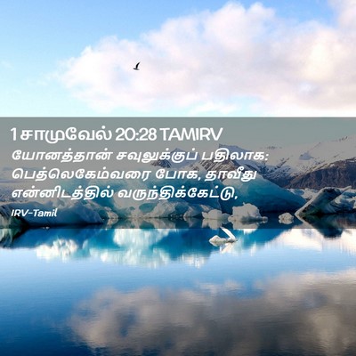 Picture 02 - 1 சாமுவேல் 20:28 TAMIRV - யோனத்தான் - Bible Verse Picture