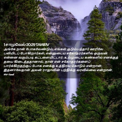 Picture 02 - 1 சாமுவேல் 20:29 TAMIRV - அங்கே நான் - Bible Verse Picture