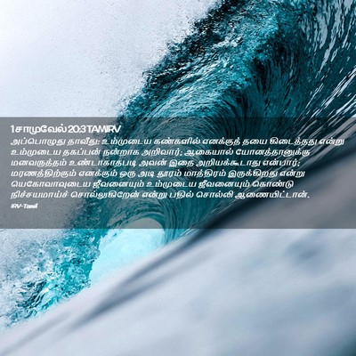 Picture 02 - 1 சாமுவேல் 20:3 TAMIRV - அப்பொழுது தாவீது: - Bible Verse Picture