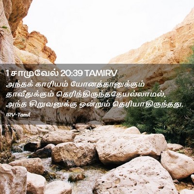 Picture 02 - 1 சாமுவேல் 20:39 TAMIRV - அந்தக் காரியம் - Bible Verse Picture