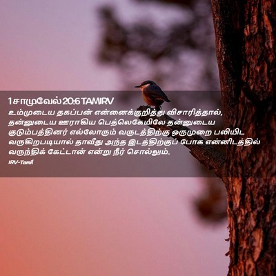 Picture 02 - 1 சாமுவேல் 20:6 TAMIRV - உம்முடைய தகப்பன் - Bible Verse Picture