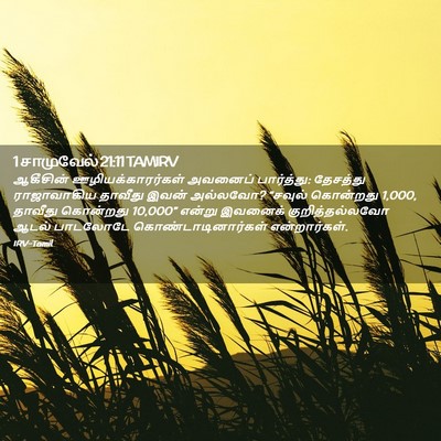 Picture 02 - 1 சாமுவேல் 21:11 TAMIRV - ஆகீசின் - Bible Verse Picture