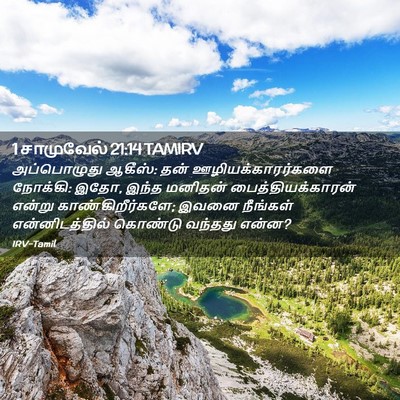 Picture 02 - 1 சாமுவேல் 21:14 TAMIRV - அப்பொழுது ஆகீஸ்: - Bible Verse Picture