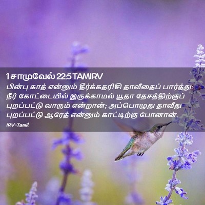 Picture 02 - 1 சாமுவேல் 22:5 TAMIRV - பின்பு காத் - Bible Verse Picture