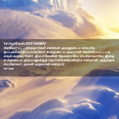 Picture 02 - 1 சாமுவேல் 23:11 TAMIRV - கேகிலா - Bible Verse Picture