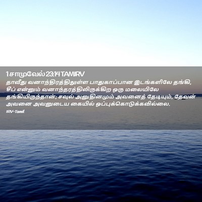 Picture 02 - 1 சாமுவேல் 23:14 TAMIRV - தாவீது - Bible Verse Picture