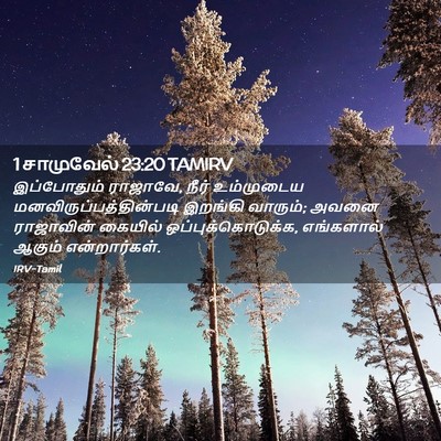Picture 02 - 1 சாமுவேல் 23:20 TAMIRV - இப்போதும் ராஜாவே, - Bible Verse Picture