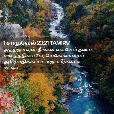 Picture 02 - 1 சாமுவேல் 23:21 TAMIRV - அதற்கு சவுல்: - Bible Verse Picture