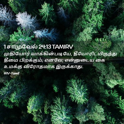 Picture 02 - 1 சாமுவேல் 24:13 TAMIRV - முதியோர் - Bible Verse Picture