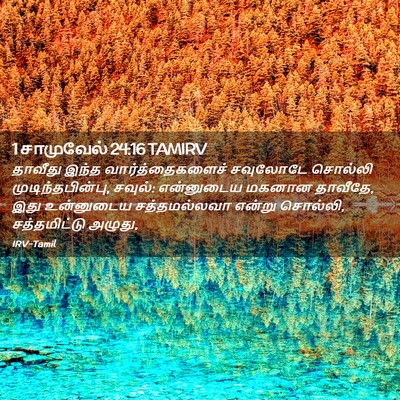 Picture 02 - 1 சாமுவேல் 24:16 TAMIRV - தாவீது இந்த - Bible Verse Picture
