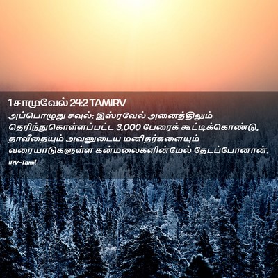 Picture 02 - 1 சாமுவேல் 24:2 TAMIRV - அப்பொழுது சவுல்: - Bible Verse Picture