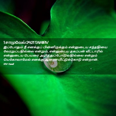 Picture 02 - 1 சாமுவேல் 24:21 TAMIRV - இப்போதும் நீ - Bible Verse Picture