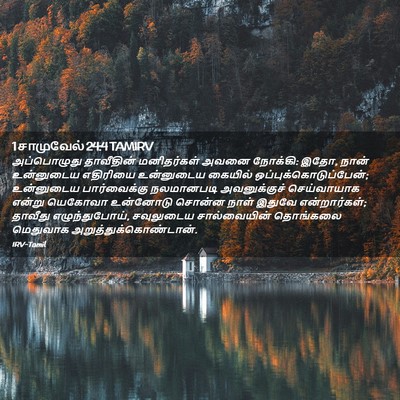 Picture 02 - 1 சாமுவேல் 24:4 TAMIRV - அப்பொழுது - Bible Verse Picture