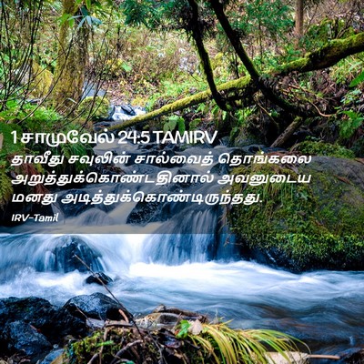Picture 02 - 1 சாமுவேல் 24:5 TAMIRV - தாவீது சவுலின் - Bible Verse Picture