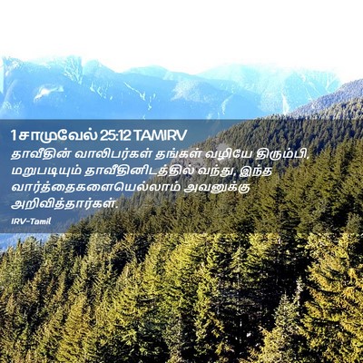 Picture 02 - 1 சாமுவேல் 25:12 TAMIRV - தாவீதின் - Bible Verse Picture