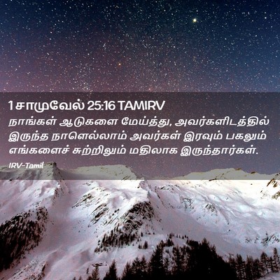 Picture 02 - 1 சாமுவேல் 25:16 TAMIRV - நாங்கள் ஆடுகளை - Bible Verse Picture