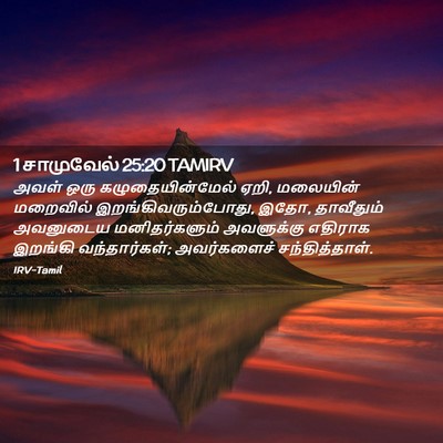Picture 02 - 1 சாமுவேல் 25:20 TAMIRV - அவள் ஒரு - Bible Verse Picture