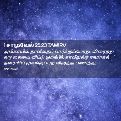 Picture 02 - 1 சாமுவேல் 25:23 TAMIRV - அபிகாயில் - Bible Verse Picture
