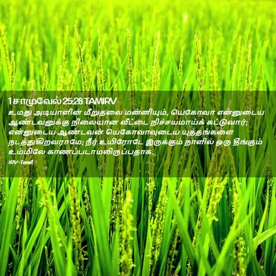 Picture 02 - 1 சாமுவேல் 25:28 TAMIRV - உமது அடியாளின் - Bible Verse Picture