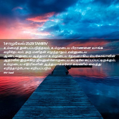Picture 02 - 1 சாமுவேல் 25:29 TAMIRV - உம்மைத் - Bible Verse Picture