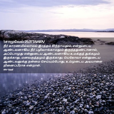 Picture 02 - 1 சாமுவேல் 25:31 TAMIRV - நீர் - Bible Verse Picture