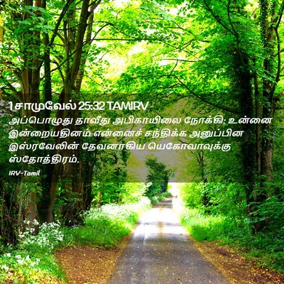 Picture 02 - 1 சாமுவேல் 25:32 TAMIRV - அப்பொழுது தாவீது - Bible Verse Picture