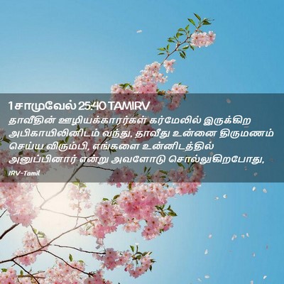 Picture 02 - 1 சாமுவேல் 25:40 TAMIRV - தாவீதின் - Bible Verse Picture