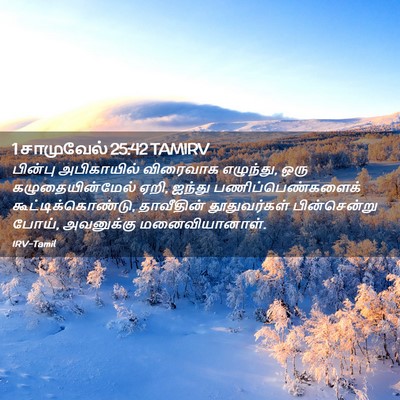 Picture 02 - 1 சாமுவேல் 25:42 TAMIRV - பின்பு அபிகாயில் - Bible Verse Picture