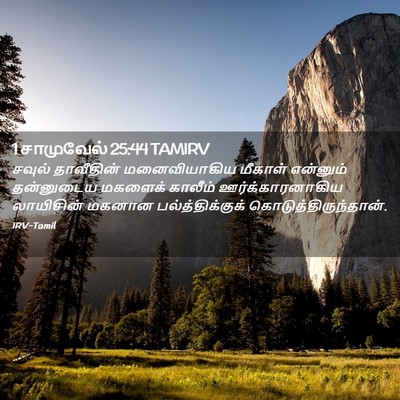 Picture 02 - 1 சாமுவேல் 25:44 TAMIRV - சவுல் தாவீதின் - Bible Verse Picture