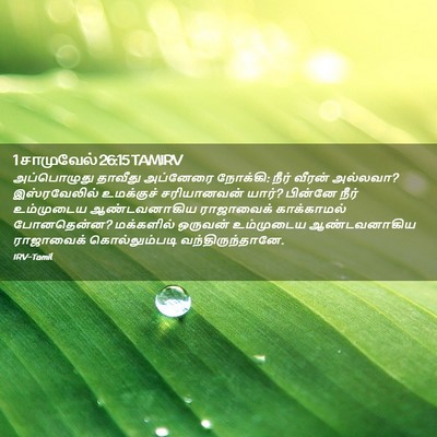 Picture 02 - 1 சாமுவேல் 26:15 TAMIRV - அப்பொழுது தாவீது - Bible Verse Picture