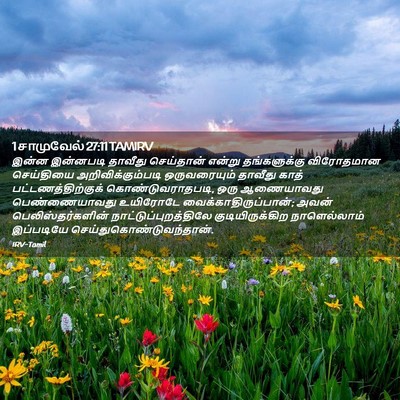Picture 02 - 1 சாமுவேல் 27:11 TAMIRV - இன்ன இன்னபடி - Bible Verse Picture