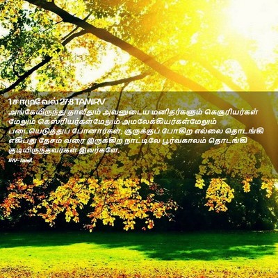 Picture 02 - 1 சாமுவேல் 27:8 TAMIRV - அங்கேயிருந்து - Bible Verse Picture