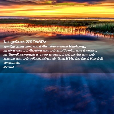 Picture 02 - 1 சாமுவேல் 27:9 TAMIRV - தாவீது அந்த - Bible Verse Picture