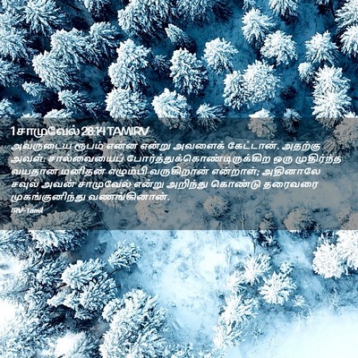 Picture 02 - 1 சாமுவேல் 28:14 TAMIRV - அவருடைய ரூபம் - Bible Verse Picture