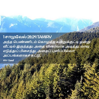 Picture 02 - 1 சாமுவேல் 28:24 TAMIRV - அந்த பெண்ணிடம் - Bible Verse Picture