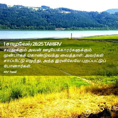 Picture 02 - 1 சாமுவேல் 28:25 TAMIRV - சவுலுக்கும் அவன் - Bible Verse Picture