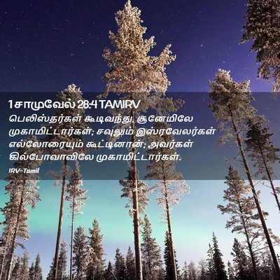 Picture 02 - 1 சாமுவேல் 28:4 TAMIRV - பெலிஸ்தர்கள் - Bible Verse Picture