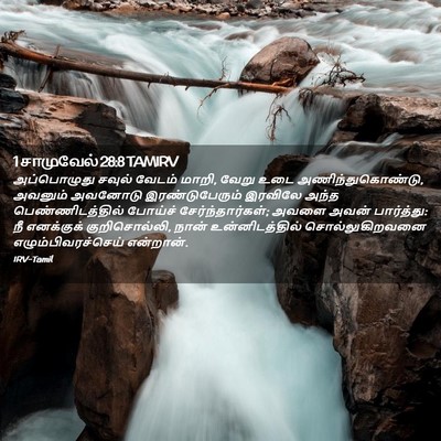Picture 02 - 1 சாமுவேல் 28:8 TAMIRV - அப்பொழுது சவுல் - Bible Verse Picture