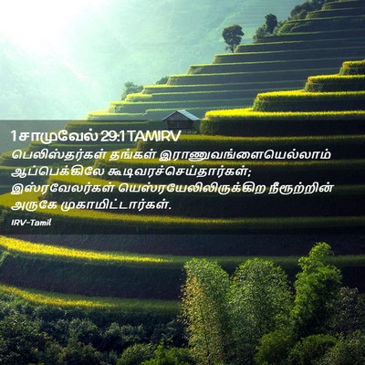 Picture 02 - 1 சாமுவேல் 29:1 TAMIRV - பெலிஸ்தர்கள் - Bible Verse Picture