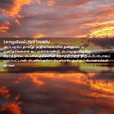 Picture 02 - 1 சாமுவேல் 29:11 TAMIRV - அப்படியே தாவீது - Bible Verse Picture