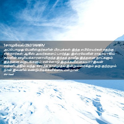 Picture 02 - 1 சாமுவேல் 29:3 TAMIRV - அப்பொழுது - Bible Verse Picture