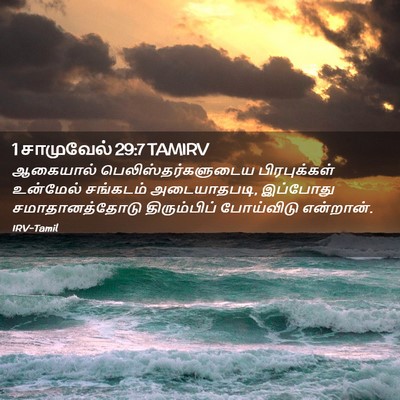 Picture 02 - 1 சாமுவேல் 29:7 TAMIRV - ஆகையால் - Bible Verse Picture
