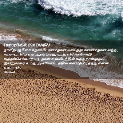 Picture 02 - 1 சாமுவேல் 29:8 TAMIRV - தாவீது ஆகீசை - Bible Verse Picture