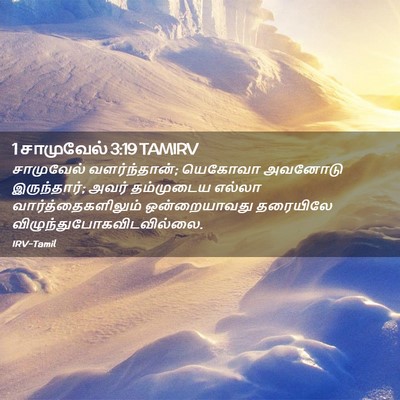 Picture 02 - 1 சாமுவேல் 3:19 TAMIRV - சாமுவேல் - Bible Verse Picture
