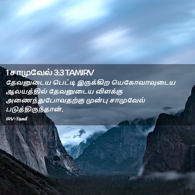 Picture 02 - 1 சாமுவேல் 3:3 TAMIRV - தேவனுடைய பெட்டி - Bible Verse Picture